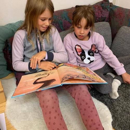 Lesen