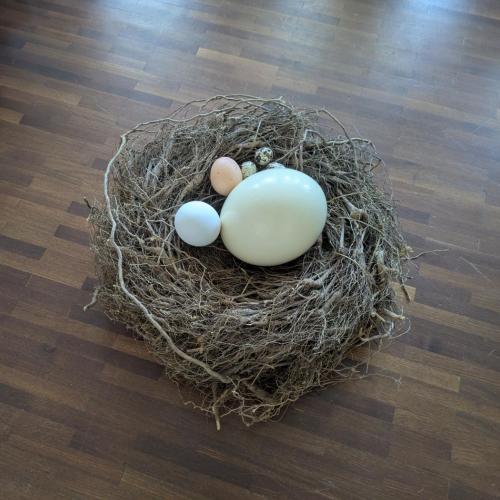 Huhn und Ei