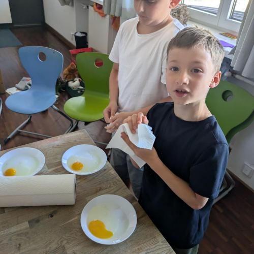 Huhn und Ei